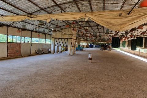 Farm i Beniganim, Valencia, Beniganim - € 67.000 | Ref: PNPT301 - foto 3
